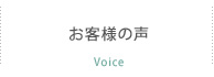 voice